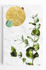 Planta