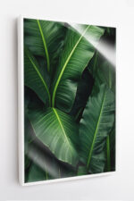 Bananeira com Gotas de Orvalho - Imagem 2