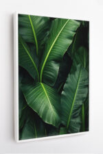 Bananeira com Gotas de Orvalho - Imagem 3