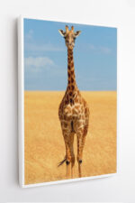 Sentinela da Savana - Imagem 3