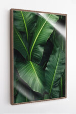 Bananeira com Gotas de Orvalho - Imagem 5