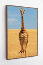 Sentinela da Savana - Imagem 6