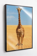 Sentinela da Savana - Imagem 7