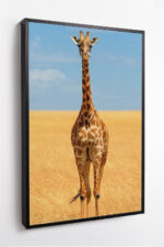 Sentinela da Savana - Imagem 8