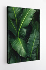 Bananeira com Gotas de Orvalho - Imagem 4