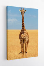Sentinela da Savana - Imagem 4